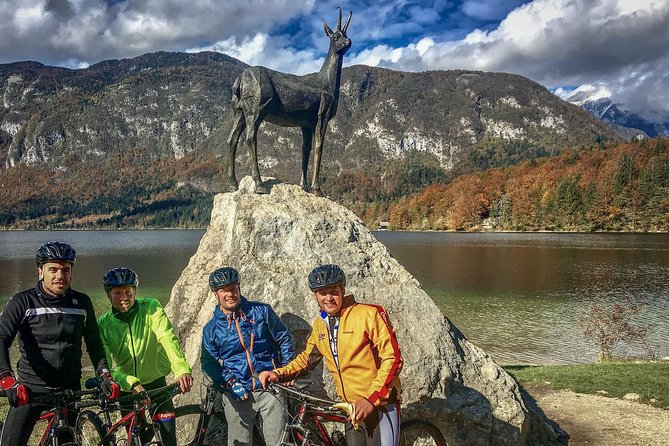 Private Biking Tour in Bohinj Valley - Who should book this Bohinj Valley bike tour (and who might not)