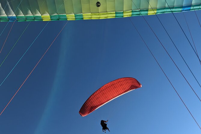 Private Tandem Paragliding in Soča Valley - Your pilot and the private tandem setup