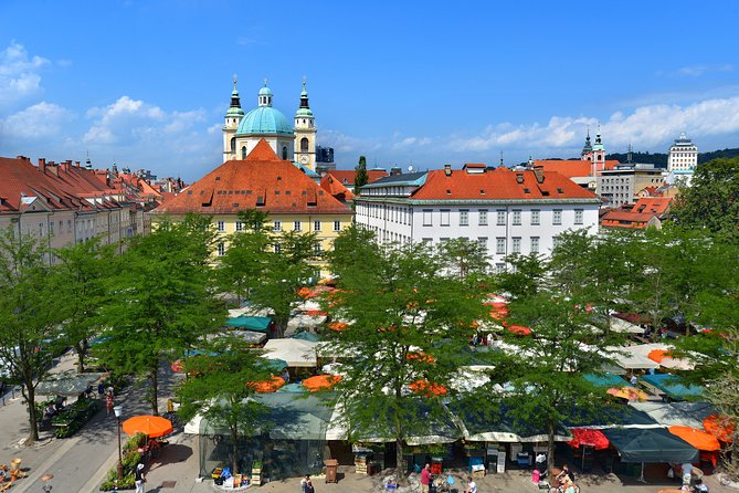 Private Walking Tour of Ljubljana Old Town - What to do before and after the walk