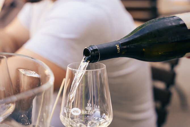 Private Wine Tasting Experience in Ljubljana - Key things to know before you go