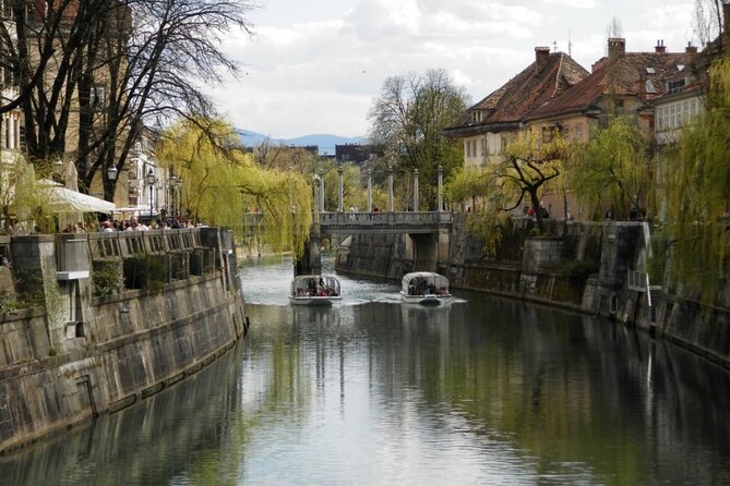 Regular Panoramic Cruise - A river-level view that actually fits into your day