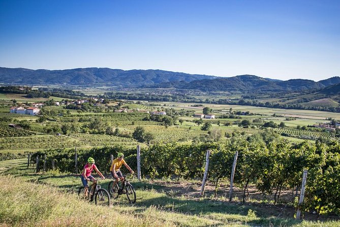 Secret vineyards E-bike tour - Key things to know before you go
