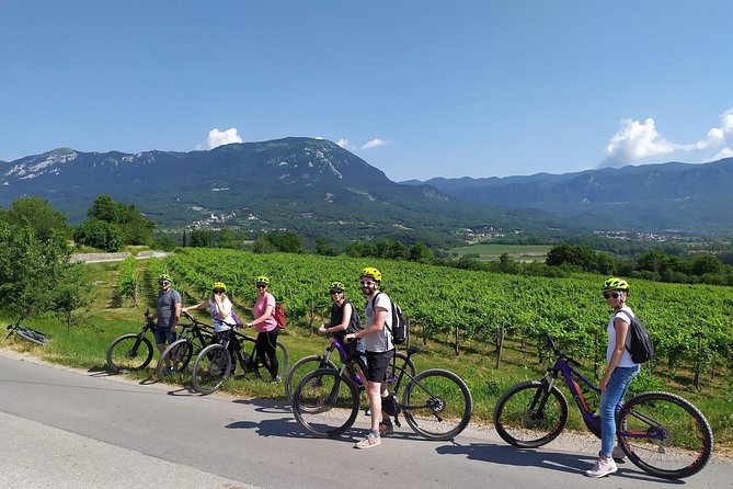 Secret vineyards E-bike tour - Food along the way: Local cold cuts, cheese, and vegetarian options