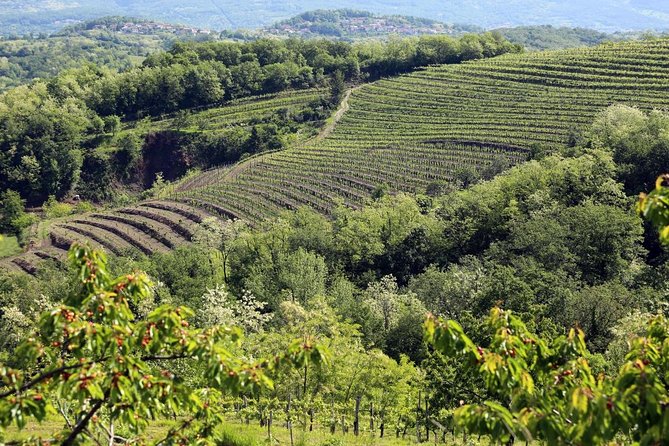 Secret vineyards E-bike tour - Logistics and small tips that make the day smoother