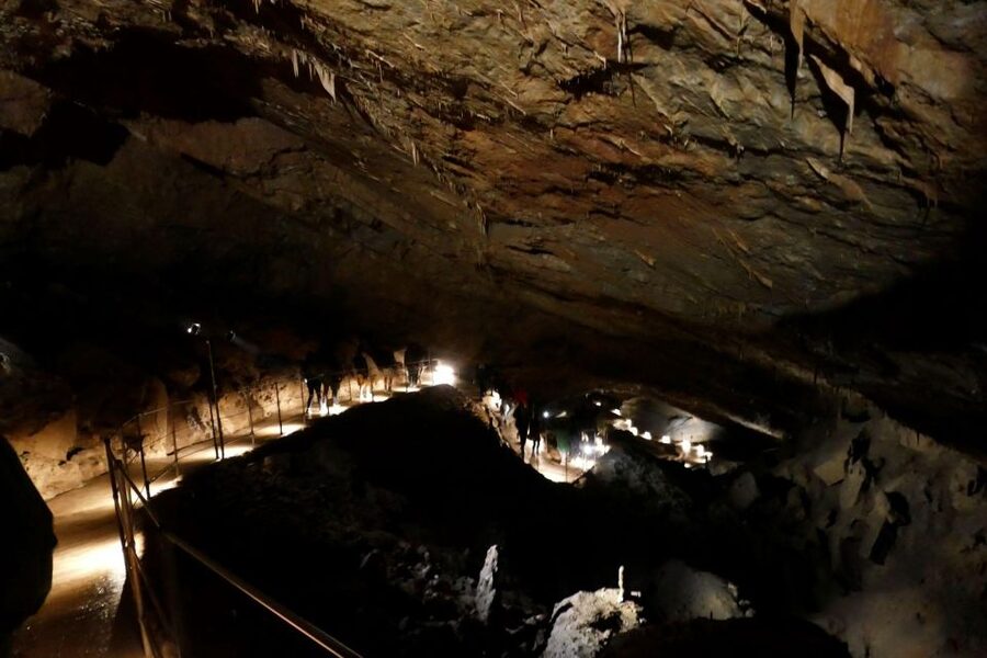 Skocjan cave day tour from Ljubljana - The Driver Experience: Why the Ride Matters More Than You Think