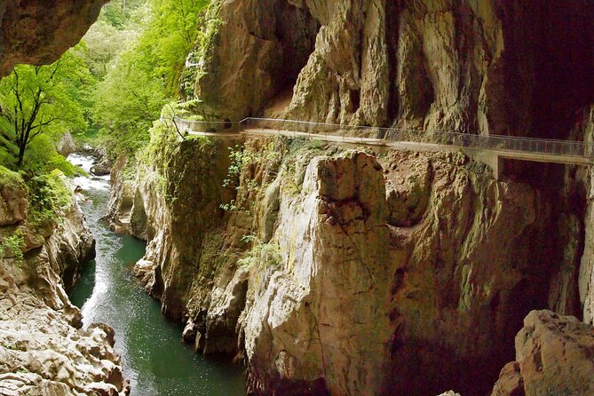Škocjan Caves and the city of Piran from Ljubljana - Lipica Stud Farm: the Lipizzan Stop That Adds Magic to the Road Trip