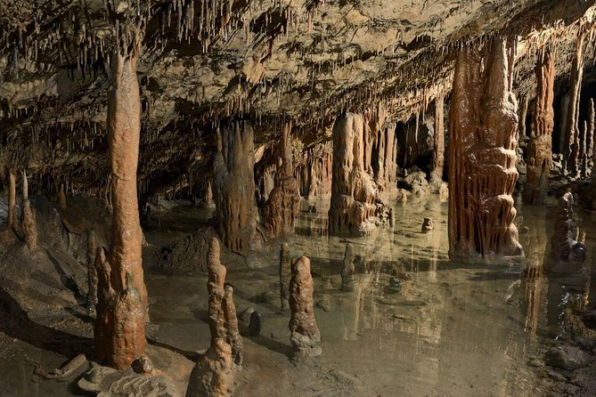 Skocjan UNESCO Caves and Piran full day tour (small group, max. 8) - The Škocjan Caves Walk: What You See, What You Hear, What You Feel