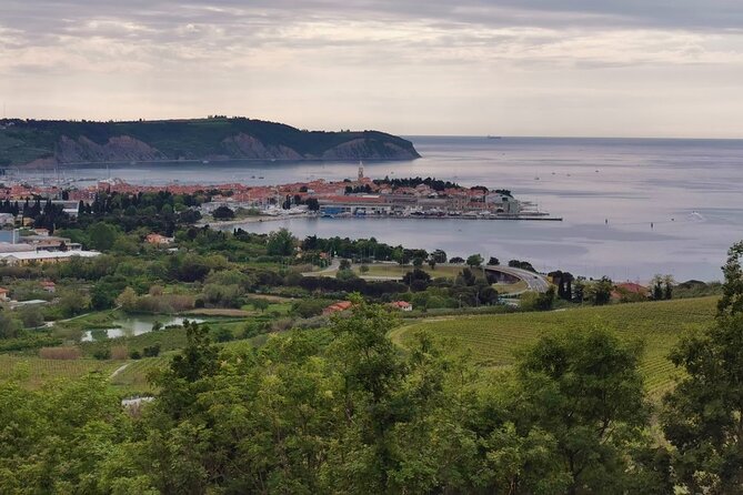 Slovenian coast Koper, Izola, Piran - Parenzana electric biking tour from Koper - Portorož for ice cream, then Parenzana’s tunnels through the gardens