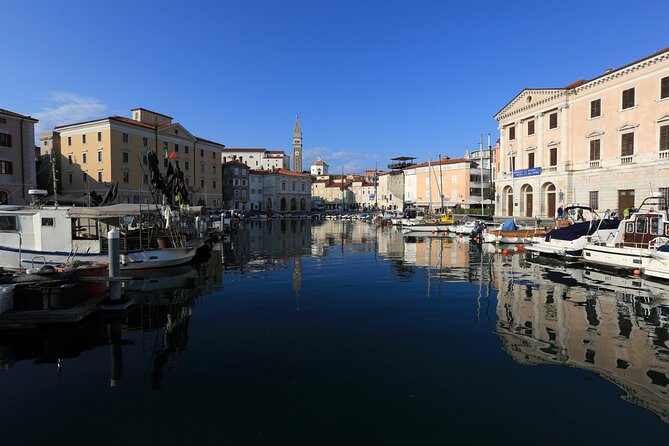 Slovenian coast Koper, Izola, Piran - Parenzana electric biking tour from Koper - Food, wine, and lunch: the reason this tour doesn’t feel like a rush-job