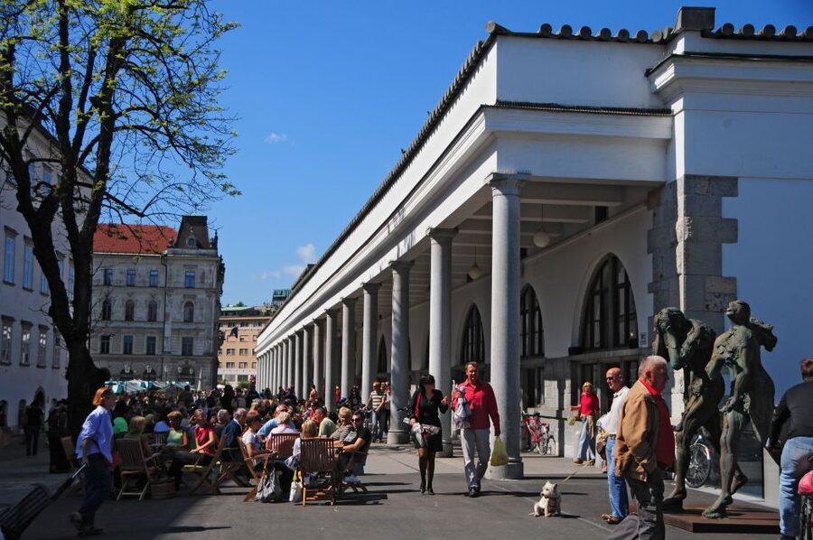 Small Group (Max 6): Ljubljana Hidden Gems Tour from Koper - Finding Your Guide at Koper: A Simple Plan That Works