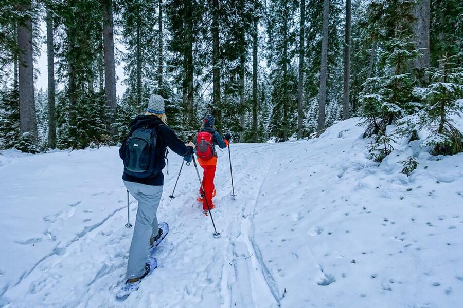 Snowshoeing in Triglav National Park - Key Things You Should Know Before You Go