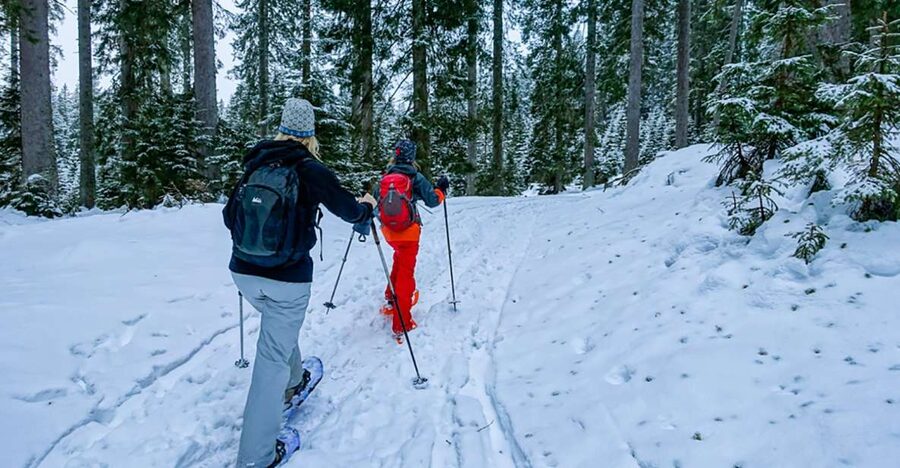 Snowshoeing in Triglav National Park - Snowshoeing Near Bled, Why Triglav Feels Made for Winter