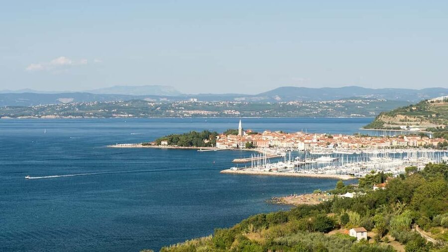 TRIESTE: Slovenian Coast Tour with Food and Wine Tasting - Your guide Dean and why the vibe feels personal