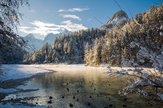 Triglav National Park and the Alps Private tour - Planica Nordic Centre: ski flying history, the Tamar Valley view, and winter options