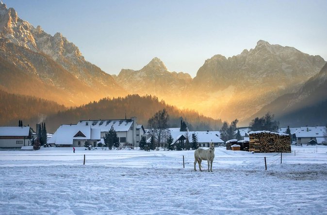 Triglav National Park and the Alps Private tour - Price and value: what you’re really paying for