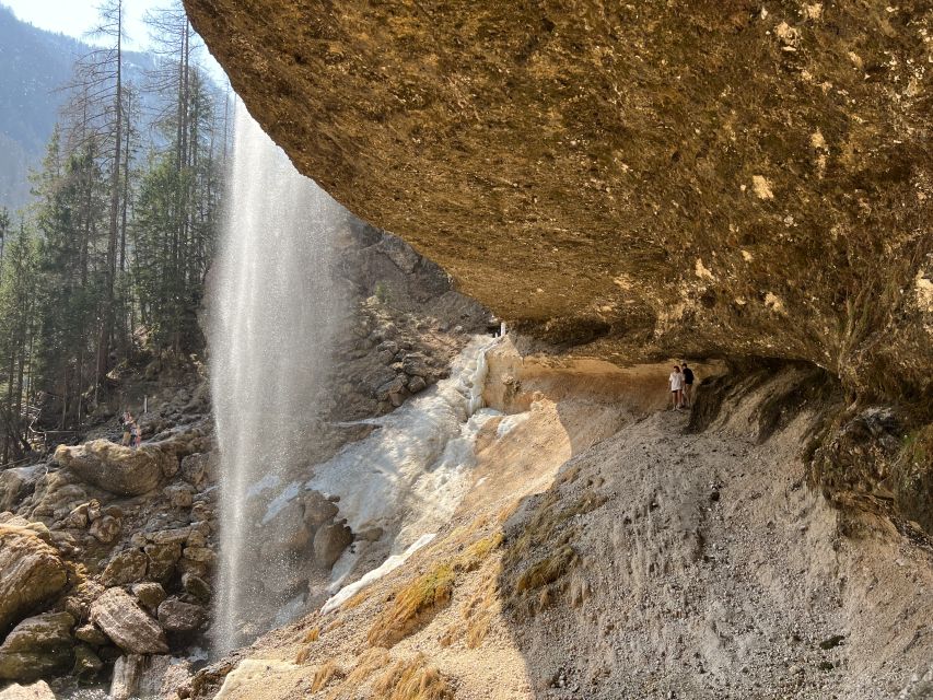 Triglav National Park Tour from Bled - Vintgar Gorge to Zelenci: Where the Water Does the Talking