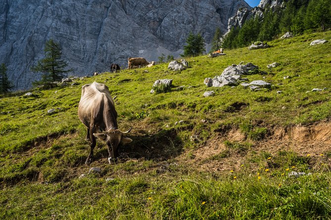 Triglav tour in 2 days Slovenia - Via ferrata equipment: what is included and why it changes your trip