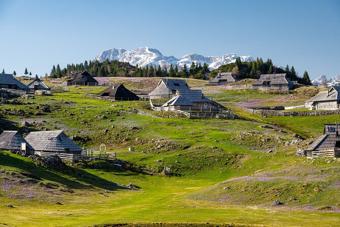 Velika Planina Guided Hike from Ljubljana - Quick hits