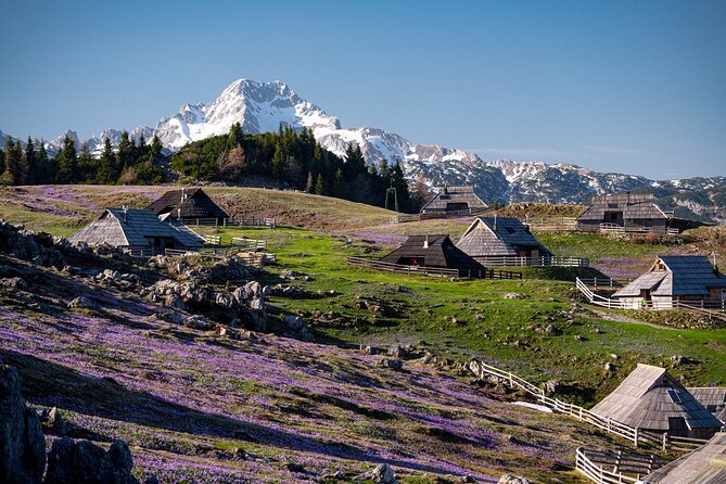 Velika Planina Guided Hike from Ljubljana - The Day’s Timeline: How the 6 Hours Usually Unfold