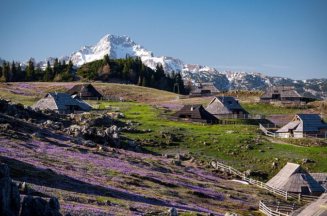 Velika Planina Guided Hike from Ljubljana - How Hard Is It, Really? Footwear, Footing, and Safety Notes