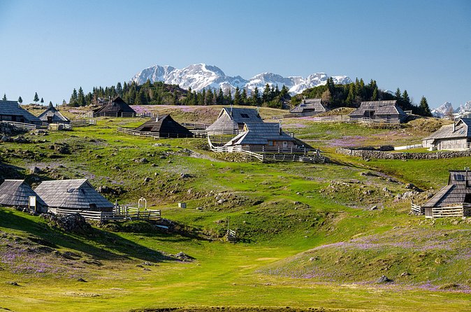 Velika Planina Guided Hike from Ljubljana - Price and Value for $89.53: What You Get, What You Must Bring