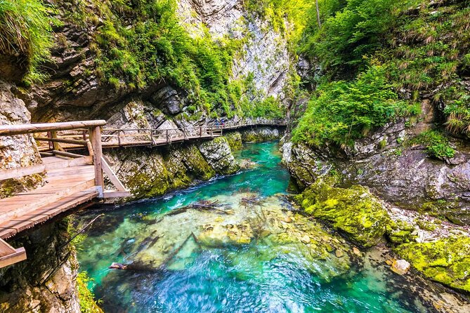 Vintgar Gorge Best Experience with Tasting (Self guided) - Key things you’ll notice right away
