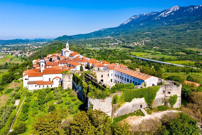 Vipava Valley Wine Express Tour From Ljubljana - Organic estate tastings: what the 6 samples and food actually mean