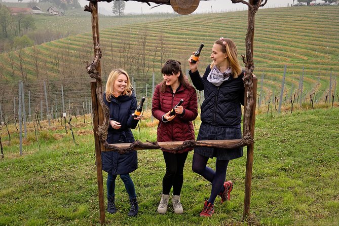 Wine and Culinary Adventure in Jeruzalem - Full Day Tour from Ljubljana or Ptuj - What you get for the $402.19 price, and what to budget for