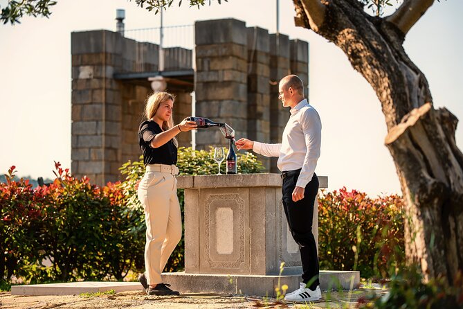 Wine Degustation in the Heart of Slovenian Istria - Key Things to Know Before You Go