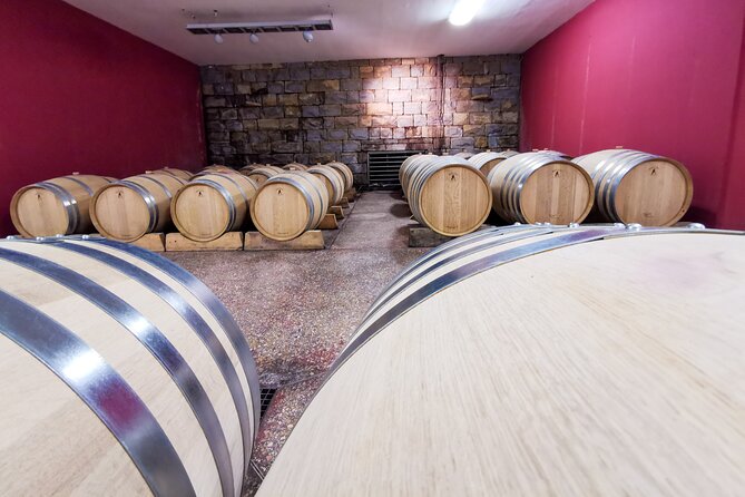 Wine Degustation in the Heart of Slovenian Istria - The Oil Mill Stop: Organic Extra Virgin Olive Oil With a View