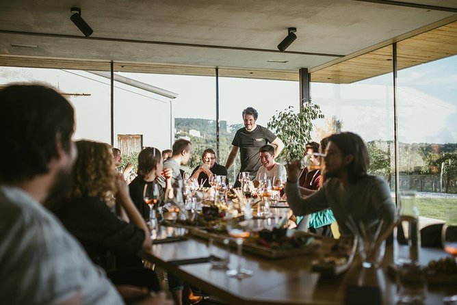 Wine Tasting with Pairing Snacks in Vipava Valley - Why Lepa Vida’s owner-led tasting works so well