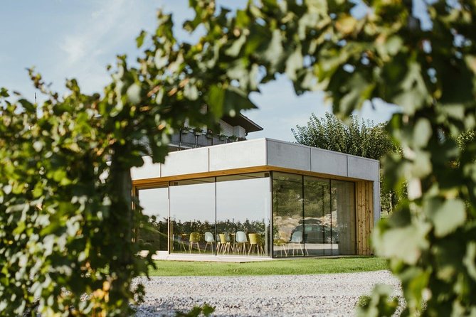 Wine Tasting with Pairing Snacks in Vipava Valley - Key highlights you should know before you go