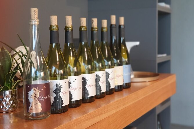 Wine Tasting with Pairing Snacks in Vipava Valley - The Vipava Valley context you get before the first sip