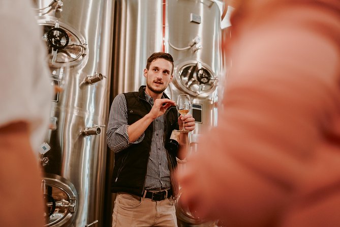 Wine Tours in Slovenia - What the guide experience feels like in real life